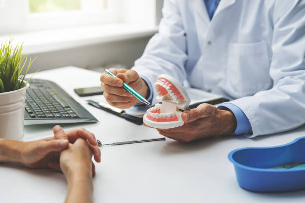 Professional Dental Services in Island Lake, IL
